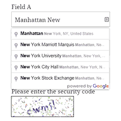 Google Places Add-On