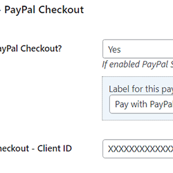 PayPal Checkout settings