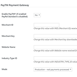 PayTM Add-On